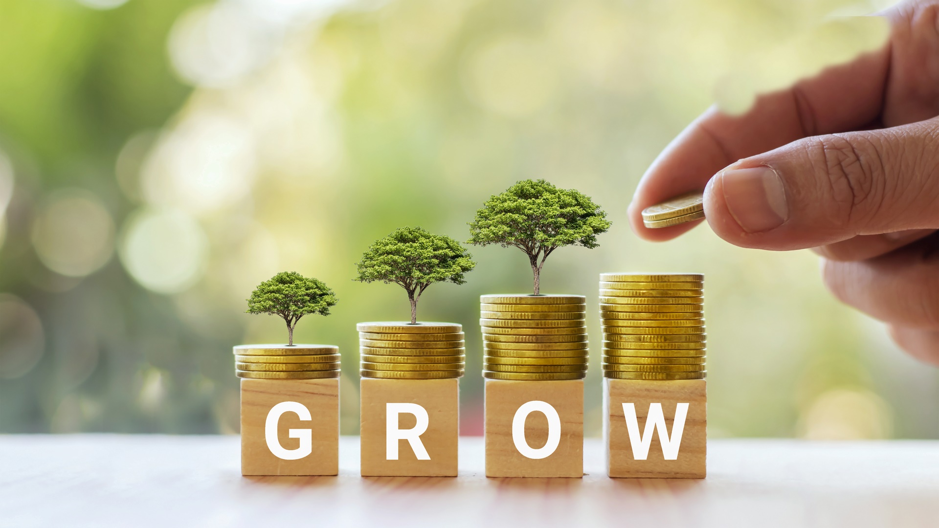 Tree growing on silver coin and square wooden block labeled grow money growth idea.